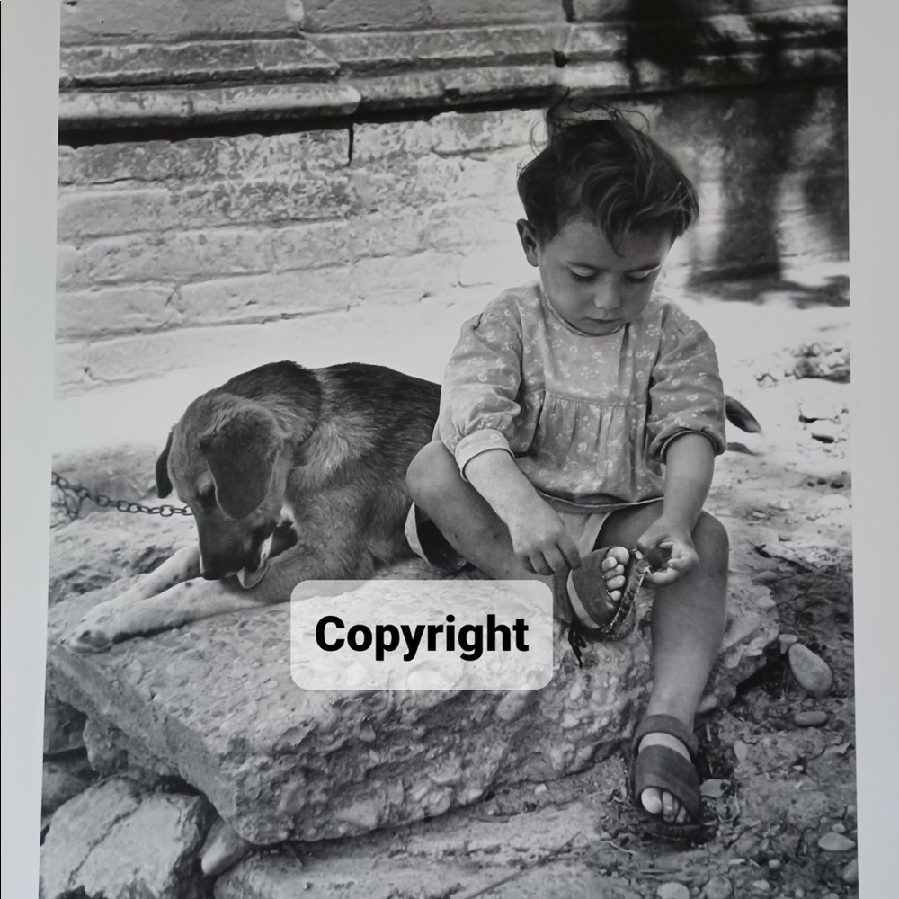 Child with Dog Photo Sale